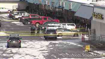 Suspect wanted after woman, businesses hit by stray bullets