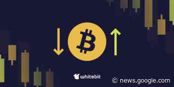 Fundamental Analysis by WhiteBIT Expert: How to Predict ... - StartupGuys.net