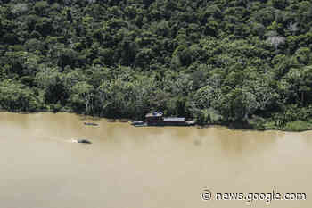 Police name man allegedly behind Dom and Bruno murders - The Brazilian Report