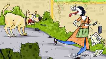 Bruno is a hero - The Hindu