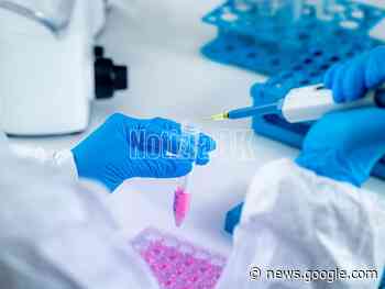 Covid-19, Gimbe: a Crotone il 35% in meno di nuovi casi settimanali ... - CrotoneOK.it