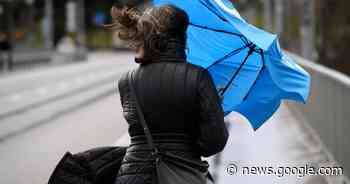 WEERBERICHT. Nog tot vanavond laat code geel voor regen ... - Het Laatste Nieuws