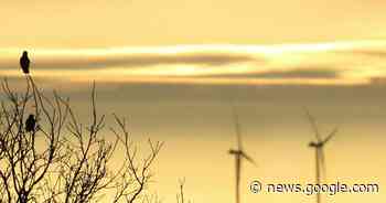 Alpen: Windräder im Wald vorerst ohne Chance auf Genehmigung - Rheinische Post