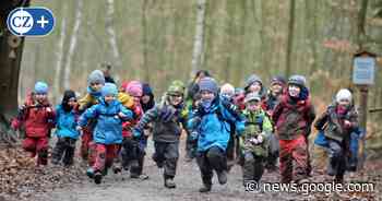 Waldkindergarten in den „Boyer Alpen“ - Cellesche Zeitung