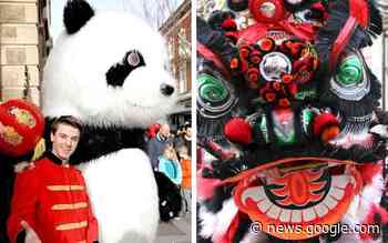 Guildhall Lion Dance set to take place in new location this year ... - Worcester News