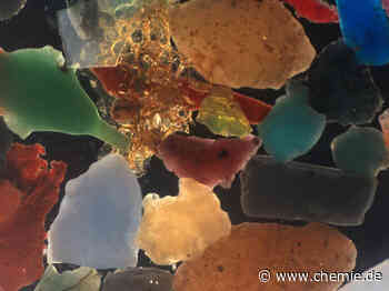 Bakterien fressen wirklich Plastik