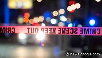 Man found fatally shot in Chatham - Chicago Sun-Times