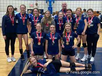 Three Chatham Ballhawks teams win tournament medals - The Chatham Daily News