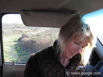 Being Brave: Elizabeth Herron returns to Occidental Center for the ... - North Bay Bohemian