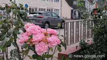 Stadtplanung in Quickborn: Kieler Straße: Erste Pläne für die ... - shz.de