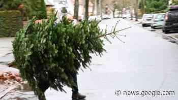 Sammelpunkte eingerichtet: Hier können in Quickborn und Umland ... - shz.de