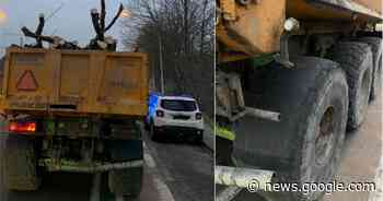 Tractor vervoert boomstammen in aanhangwagen, maar maakt ze ... - Het Laatste Nieuws