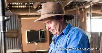 A Merino birthright for Kirk