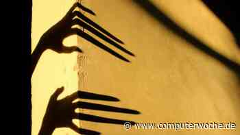 Cybervorfälle und Betriebsunterbrechungen: Was Risikomanagern Albträume bereitet