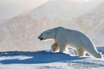 Michael Martin gastiert mit Multimedia-Show „Terra“ in Borken - Borkener Zeitung