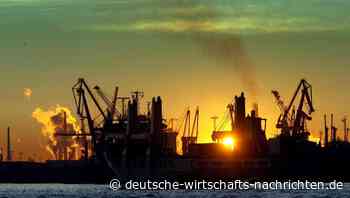 Verband: „Dem Mittelstand wird beim Lieferkettengesetz zu viel Last auferlegt“