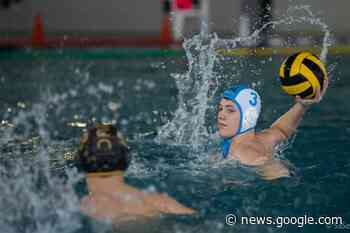Wasserball: Zweitliga-Orcas verbleiben trotz Niederlage an ... - Meetingpoint Potsdam
