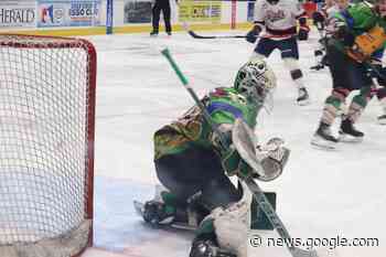 Brown's OT winner sinks Raider comeback in loss to Pats - Prince Albert Daily Herald