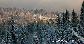 36 Hours in Oslo: Things to Do and See