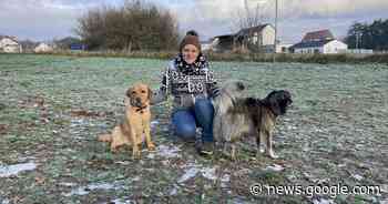 Lucky Dog Center Bexbach: Ein Besuch bei Hundepsychologin und ... - Saarbrücker Zeitung