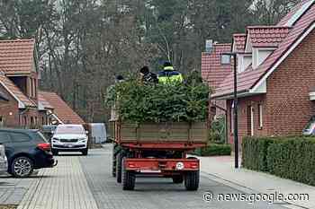 Sammlung der Weihnachtsbäume für einen guten Zweck - Landkreis Grafschaft Bentheim