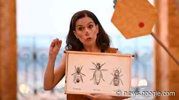 Recanati: Art Festival 2023, aperte le iscrizioni per gli artisti - Vivere Civitanova