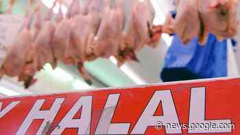 CASO MENSA A LODI Carne halal per tutti, ma le famiglie non lo ... - Il Cittadino