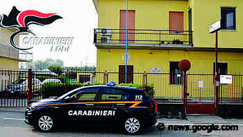 LODI Alla guida senza patente e ubriachi: nella notte scattano i ... - Il Cittadino