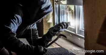 Ladri in azione a Collecchio: rubate motoseghe - Gazzetta di Parma