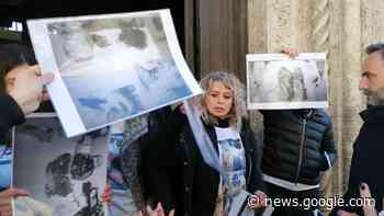 25 Gennaio 2023 | Notizie Italia | Lazio | Frosinone | Cassino - Il Punto a Mezzogiorno