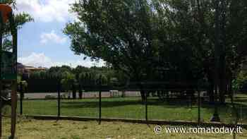 Motoseghe in azione a Parco Talenti: alberi abbattuti