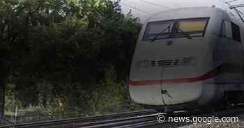 Neue Trasse: ICE soll durch Lüneburger Heide fahren - Cellesche Zeitung