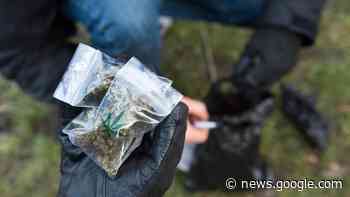Zahl der Rauschgiftdelikte in Trossingen steigt seit zwei Jahren stark ... - Schwäbische