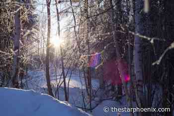 Funeral instead of a wedding: La Ronge grieves woman's freezing death