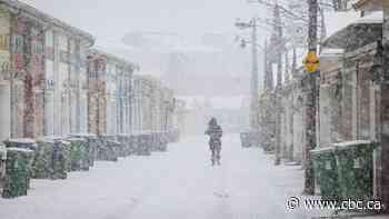 GTA school buses cancelled as region digs out from major winter storm