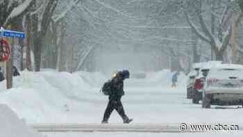 All N.B. schools closed as fierce storm covers roads with ice
