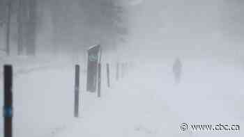 Multiple schools closed, flights cancelled as winter storm hits southern Quebec