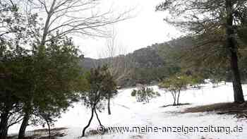 Bis zu einem Meter Schnee auf Mallorca