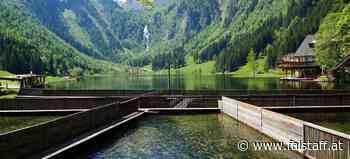 Nach nur 25 Tagen: Österreichische Fischressourcen für 2023 aufgebraucht