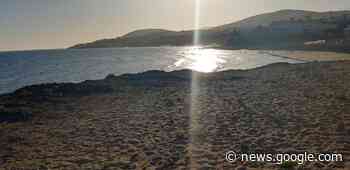 Möchte gerne mein lieber: Schweinehund - Bochum - www.lokalkompass.de