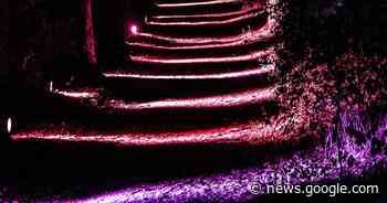 Stewards gezocht voor Kortenberg Straalt | Kortenberg | hln.be - Het Laatste Nieuws