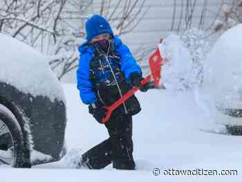 Snow day: School buses cancelled, plow rolls, OPP reports numerous crashes