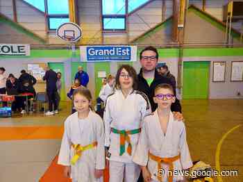jhm | Le Judo-club de Langres affiche de bonnes performances - jhm