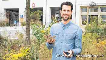 «Ich sehe riesiges Potenzial»