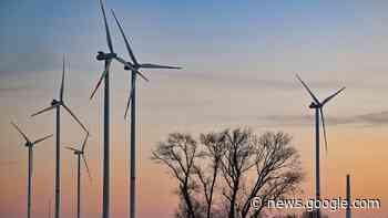 OECD legt in Mannheim Bericht über Metropolregion Rhein-Neckar ... - SWR Aktuell