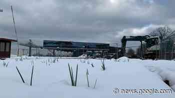 Zertifizierung: Wie nachhaltig ist die BUGA 23 in Mannheim? - SWR Aktuell