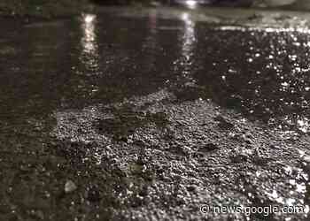 School buses cancelled across Halton, schools remain open - miltonnow.ca