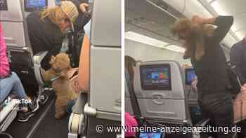 „Warum tut sie so etwas?“: Hundebesitzerin sorgt im Flugzeug für Empörung