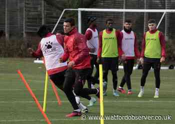 On-loan striker Araújo can't wait to start scoring for Watford