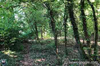 Volgende stap gezet voor realisatie natuurbegraafplaats in Weert - Weertdegekste.nl